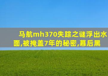 马航mh370失踪之谜浮出水面,被掩盖7年的秘密,幕后黑