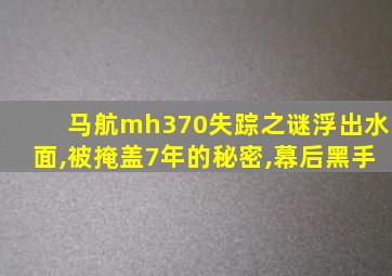 马航mh370失踪之谜浮出水面,被掩盖7年的秘密,幕后黑手