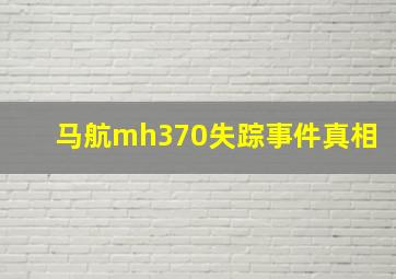 马航mh370失踪事件真相