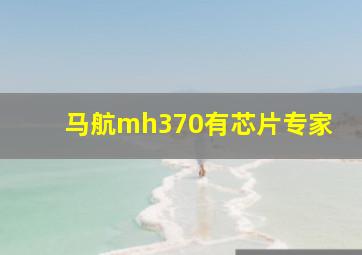 马航mh370有芯片专家