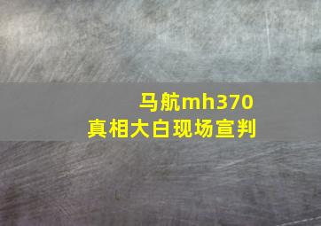 马航mh370真相大白现场宣判