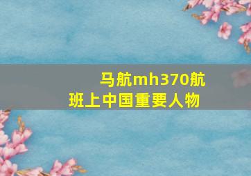 马航mh370航班上中国重要人物