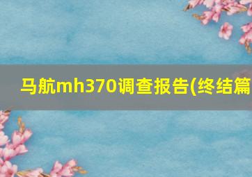 马航mh370调查报告(终结篇)