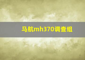 马航mh370调查组