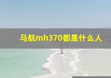 马航mh370都是什么人