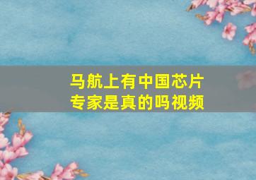 马航上有中国芯片专家是真的吗视频