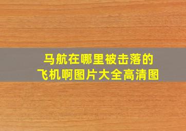 马航在哪里被击落的飞机啊图片大全高清图