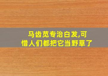 马齿苋专治白发,可惜人们都把它当野草了