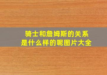 骑士和詹姆斯的关系是什么样的呢图片大全