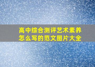 高中综合测评艺术素养怎么写的范文图片大全