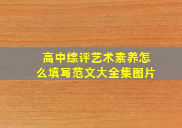 高中综评艺术素养怎么填写范文大全集图片