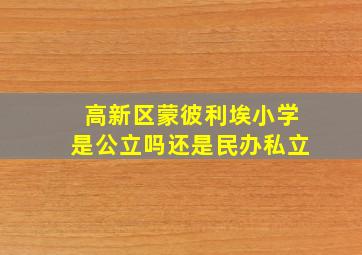 高新区蒙彼利埃小学是公立吗还是民办私立