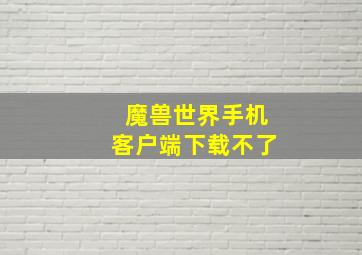 魔兽世界手机客户端下载不了