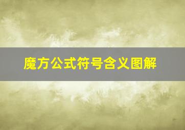 魔方公式符号含义图解