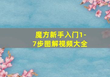 魔方新手入门1-7步图解视频大全