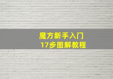 魔方新手入门17步图解教程