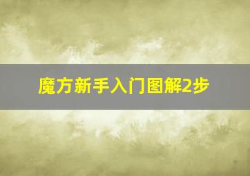 魔方新手入门图解2步