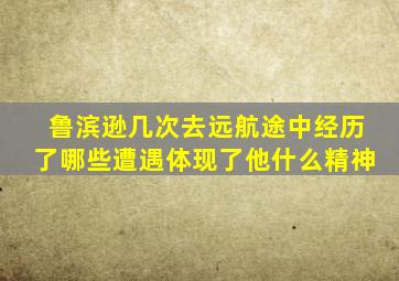 鲁滨逊几次去远航途中经历了哪些遭遇体现了他什么精神