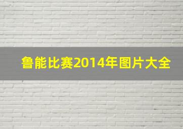 鲁能比赛2014年图片大全