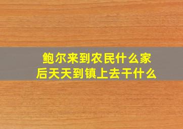 鲍尔来到农民什么家后天天到镇上去干什么