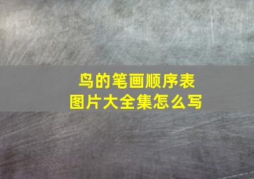 鸟的笔画顺序表图片大全集怎么写