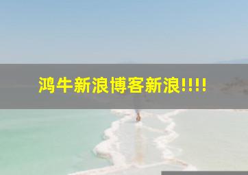 鸿牛新浪博客新浪!!!!