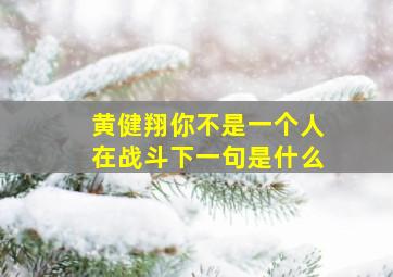 黄健翔你不是一个人在战斗下一句是什么