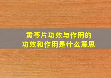 黄芩片功效与作用的功效和作用是什么意思