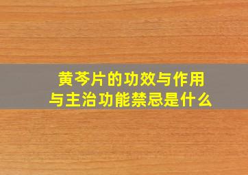 黄芩片的功效与作用与主治功能禁忌是什么