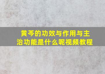 黄芩的功效与作用与主治功能是什么呢视频教程