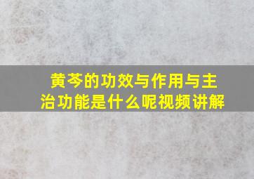 黄芩的功效与作用与主治功能是什么呢视频讲解