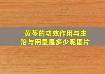 黄芩的功效作用与主治与用量是多少呢图片