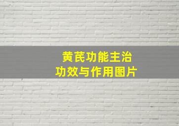 黄芪功能主治功效与作用图片