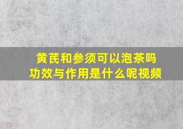 黄芪和参须可以泡茶吗功效与作用是什么呢视频