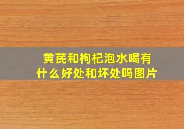 黄芪和枸杞泡水喝有什么好处和坏处吗图片