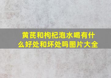 黄芪和枸杞泡水喝有什么好处和坏处吗图片大全