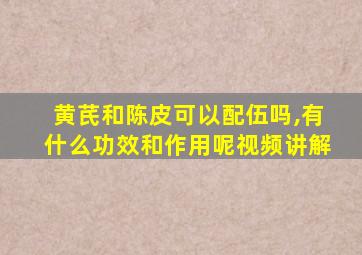 黄芪和陈皮可以配伍吗,有什么功效和作用呢视频讲解