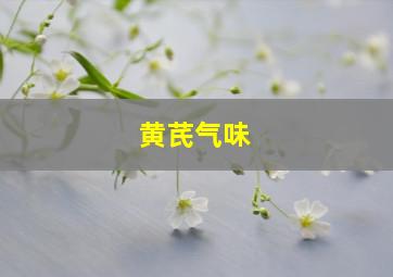 黄芪气味