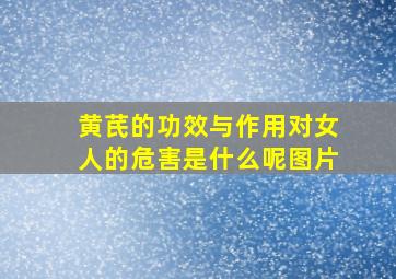 黄芪的功效与作用对女人的危害是什么呢图片