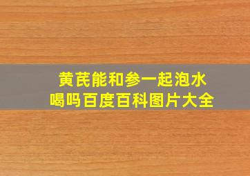 黄芪能和参一起泡水喝吗百度百科图片大全