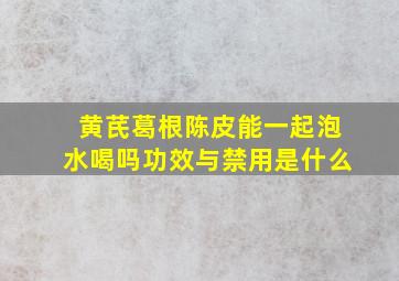 黄芪葛根陈皮能一起泡水喝吗功效与禁用是什么