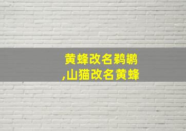 黄蜂改名鹈鹕,山猫改名黄蜂