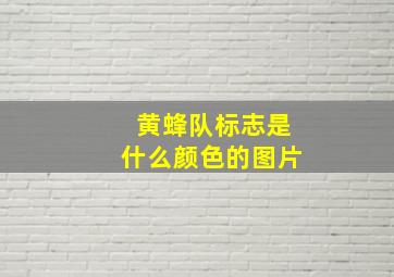 黄蜂队标志是什么颜色的图片