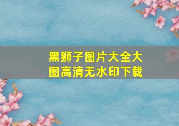 黑狮子图片大全大图高清无水印下载