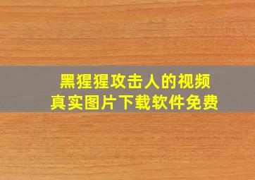 黑猩猩攻击人的视频真实图片下载软件免费