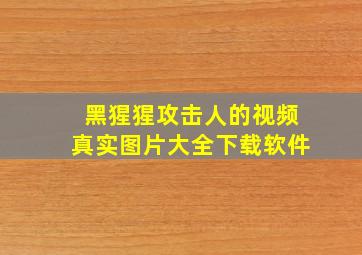 黑猩猩攻击人的视频真实图片大全下载软件