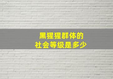 黑猩猩群体的社会等级是多少