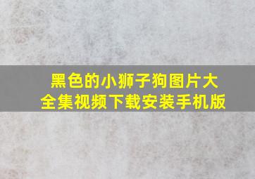 黑色的小狮子狗图片大全集视频下载安装手机版