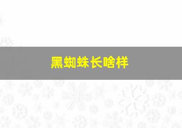 黑蜘蛛长啥样