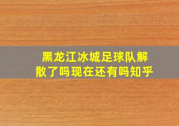 黑龙江冰城足球队解散了吗现在还有吗知乎